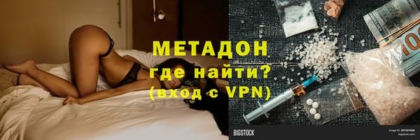 шишки Арсеньев