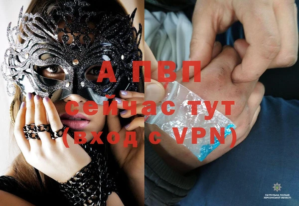 индика Армянск