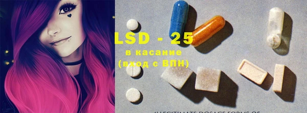 шишки Арсеньев