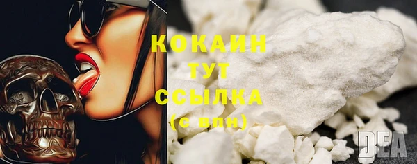 дживик Аркадак