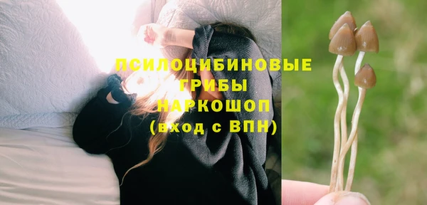 индика Армянск