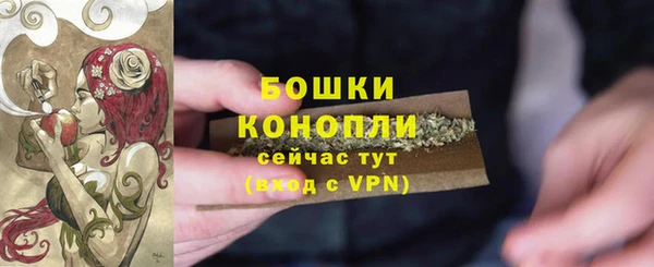 прущая мука Дмитриев