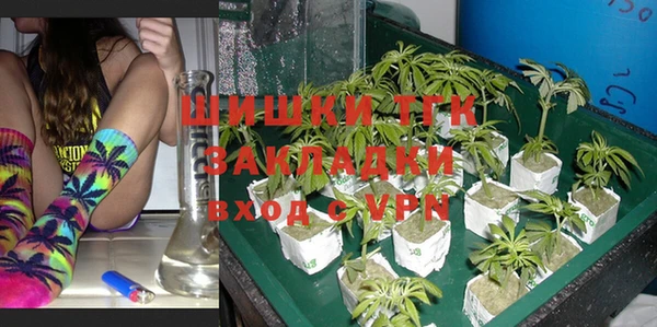 шишки Арсеньев