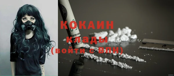 индика Армянск