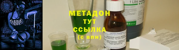 шишки Арсеньев