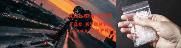 индика Армянск