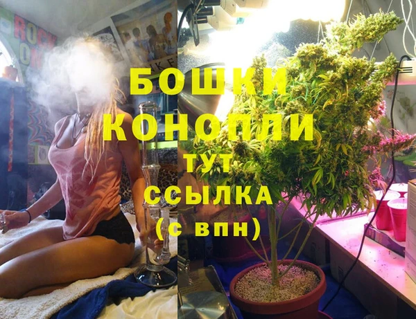 шишки Арсеньев