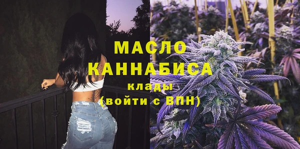 шишки Арсеньев