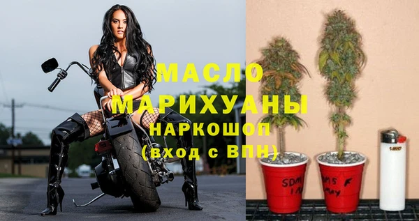 шишки Арсеньев