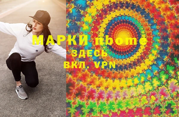 индика Армянск