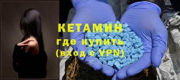 шишки Арсеньев