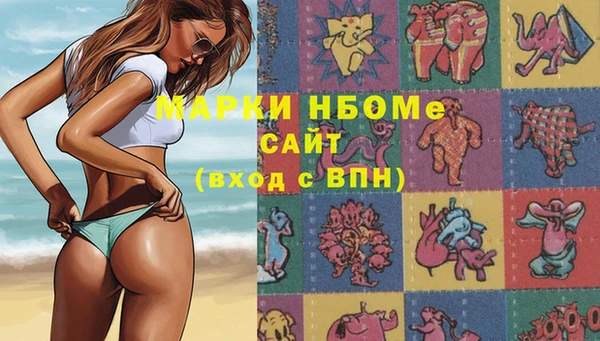 индика Армянск